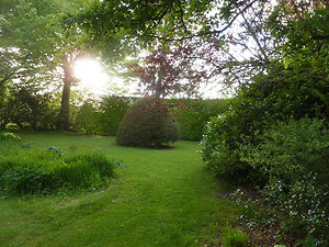 pictures and words. peter's sunny front garden